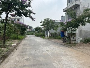 bán đất tại trâu quỳ, gia lâm, hà nội - dt 34,2 m2, mặt tiền 3,3m, ngõ 5m