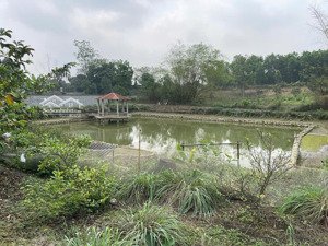 cần chuyển nhượng 4000m2 tại lương sơn hoà bình cũ. giá 3,5tr/m2