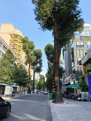 bán nhà mặt tiền 9 mạc đĩnh chi phường bến nghé quận 1 dt 1.317m2 đất