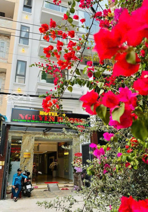 bán khách sạn vip mt lê hồng phong, p12 quận 10, dt 7x18m, 6 tầng bán gấp giá 39.9 tỷ thương lượng