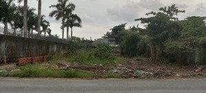 bán đất long phước quận 9 -915m2, sổ đỏ - mặt tiền đường long phước