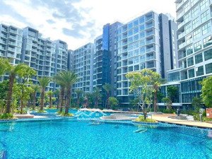 cho thuê căn căn hộ khu diamond centery celadon city nhà mới, vào ở ngay