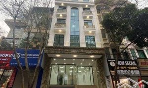 cho thuê nhà mặt phố nguyễn thị định đoạn đẹp nhất phố giá cả hợp lý