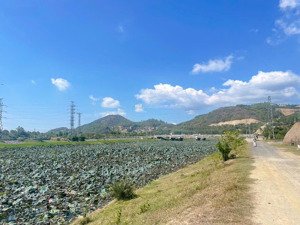 đất mặt tiền bờ kè view sông tắc cực đẹp vĩnh trung - tây nha trang