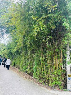 đất nền chính chủ kẹt tiền cần bán gấp, đã có sổ đầy đủ cách đường lớn an hạ 200m!!!