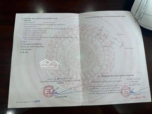 mặt đường quyết tiến, hợp đức, đồ sơn. - vị trí: tdp quyết tiến, phường hợp đức, quận đồ sơn.