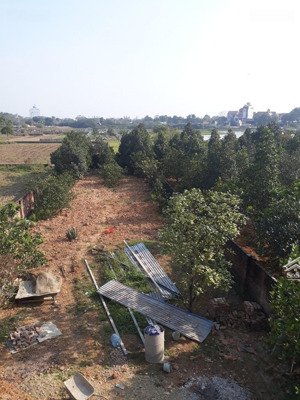 chính chủ cho thuê đất trống 600m2 làm kho bãi xưởng hay chăn nuôi chúc sơn chương mỹ giá 4tr/th