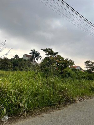 bán lô đất nền kdc kiến á, 10x19m, giá đầu tư, đối diện global city, liên phường, quận 9