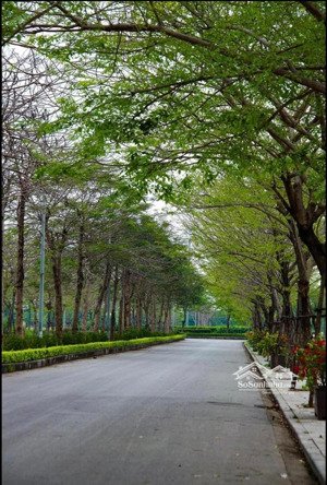 tôi cần bán lô liền kề mặt đường 25m khu b để đóng tiền xây dựng khu a. lh: 