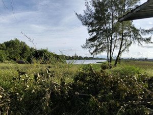 dt 110m2; giá 2.85 tỷ, truc thông sống thông biến. xác chợ viêm đông cách chợ 200m