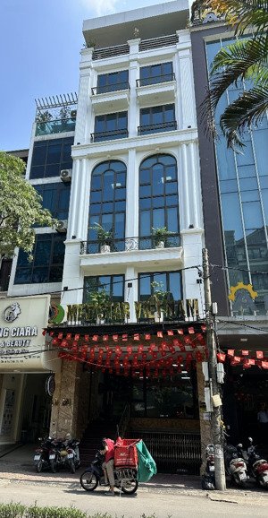 siêu phẩm! phố vip q. cầu giấy tòa nhà 7 tầng thang máy, 155m2 mặt phố vũ phạm hàm cực hiếm