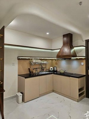 căn hộ 1pn + 1 47m2 full nội thất gỗ xịn xò chỉ 2,79 tỷ khu beverly solari