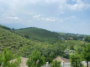 bán đất nghỉ dưỡng minh hồng, minh quang, ba vì, hà nội