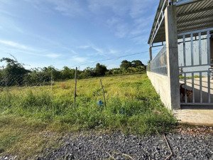 đất 550 triệu ngay bình lợi, xã hòa khánh đông, 5x25 (125m2), đất thổ cư, bao san lấp
