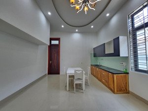 mai chí thọ, cẩm lệ biệt thự mái thái 206m2 (10x20m) 4pn master đường 10.5m, giá chỉ 16.9 tỷ