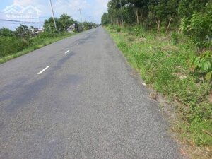 3hecta đất mặt tiền huyện lộ 40,xã Thạnh Mỹ,Tân Phước,Tiền Giang.