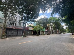 bán nhà 5 tầng phố việt hưng, long biên. dt 96m2 mt 6m. khu phố kd sầm uất. lh 