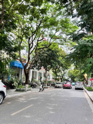 biệt thự sân vườn mễ trì, gần keangnam, lô góc, oto tránh đỗ, nội thất gỗ hương, 150m mt 22m