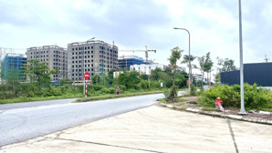 100m2 bạch đa kim hoa mê linh hà nội