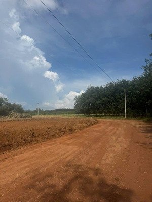 ông chú cần tiền cưới vợ cho con cần bán gấp 1020m2 giá 500tr