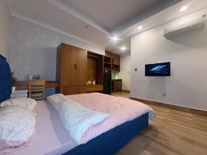 căn hộ 1pn full nội thất view đẹp thoáng mát tại lam sơn tân bình