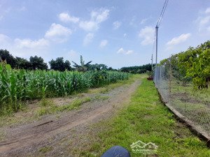 mình có mảnh đất vườn trống thuộc phường bình lộc-tỉnh đồng nai cần cho thuê.