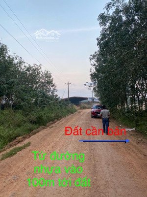 bán đất nền tây ninh, khu vực nhà máy, xí nghiệp và dân cư đông, giá rẻ cho nhà đầu