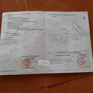 tuyến 2 đường bộ ven biển, dân tiến, đồ sơn chỉ hơn 1 tỷ