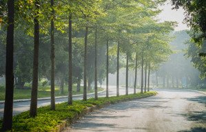 bán biệt thự vườn mai đơn lập 324m2 nhà thô giá bán 175 triệu/m2