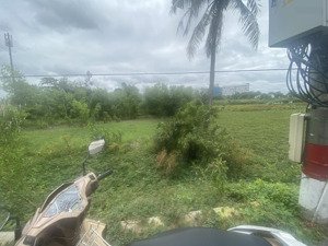 bán đất 1.800m2 đối diện bv phạm ngọc thạch bình chánh