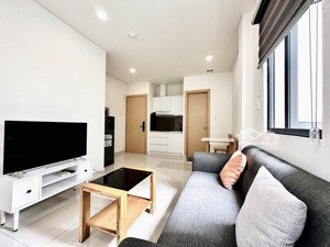 cho thuê chung cư mini 1pn rộng 50m2 ban công view sông, full nội thất ngay cầu thị nghè,saigon zoo