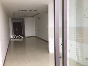 cần cho thuê gấp căn hộ đồ cơ bản, giá 10tr, chung cư new horizon city, 87 lĩnh nam, giao nhà ngay