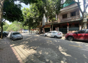 chủ cần chuyển nhà đi sài gòn ở cùng con, cần bán đất tại đinh bạt tuỵ, vinh, nghệ an