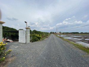 vườn nghỉ dưỡng cây trái sum xuê mát mắt