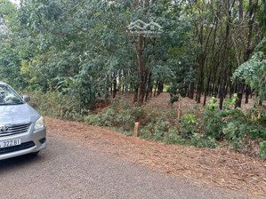 đấu giá đất tại hưng phước, bù đốp, bình phước