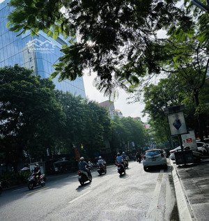 bán nhà phố thái hà-pl vip đống đa-vị trí đẹp nhất phố-vỉa hè rộng - 48.5m2-4 tầng-mt 4.6m2-23.5 tỷ