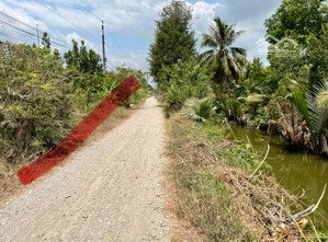 bán 2 công đất lúa ngay sát vành đai tân khánh. mặt tiền đường 7m5. cách ql1a 300m