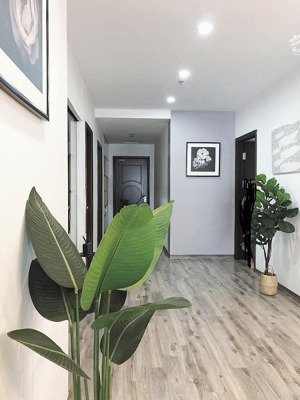 nhà mới, thang máy khu phân lô huỳnh thúc kháng 60m2 x 6 tầng, mặt tiền 4,5m, giá 24 tỷ