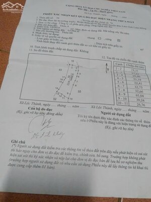 Chính chủ cần bán vườn cafe