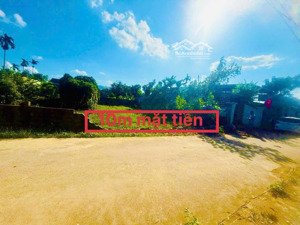 bán đất tại xã xuân mai, hà nội, giá giá thỏa thuận, 173m2, mặt tiền 10m, hậu 10m