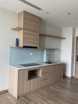 cho thuê 2 ngủ 2 vệ sinh - bếp rèm điều hòa - chung cư khoáng nóng onsen ecopark - giá 7tr5/tháng