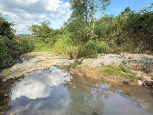 bán đất vườn giáp suối, view hồ chứa nước đắc lộc 2tr/m2