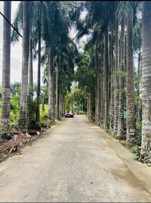 em bán lô đất 100m full tc có view triệu đô cực kì đẹp cổ đông sơn tây thuộc kdt vệ tinh hoà lạc