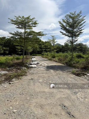 bán đất ngã ba hàng đồi, mặt đường hồ chí minh, ô tô tránh, kinh doanh cực đỉnh, 104m2 giá 17.5 tỷ