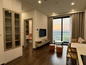 cho thuê căn hộ 1n+ full đồ tòa masteri giá 12tr ( mpdv+ oto )