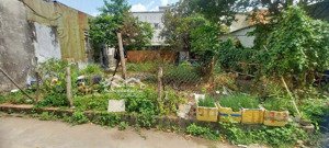 chủ gửi bán gấp đất thổ cư 131m2 (ngang 8m), tân xuân, hóc môn