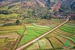 chủ gửi bán 1156 m thổ cư 400 m mặt tiền 30 m giá 2,8 tỷ tại bản sò lường xã mường sang huyện mộc c