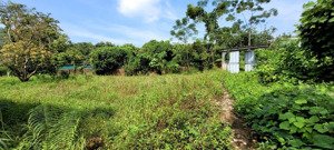 đón đầu qh - hơn 8000m2 - 1000m2 đất ở - mặt tiền thênh thang - chỉ hơn 2tr/m2