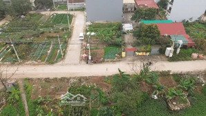 chính chủ gửi bán đấu giá lô góc x1 lại yên sơn đồng.