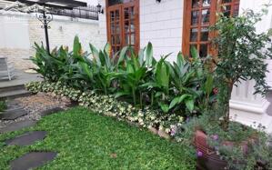 Khuôn biệt thự 216 Nguyễn Văn Hưởng, Ở, Kinh Doanh, Làm VP tốt,